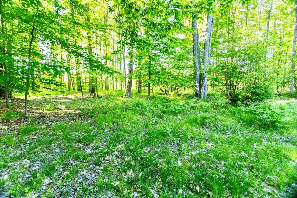 14351 95th Avenue Martiny Township MI 49342