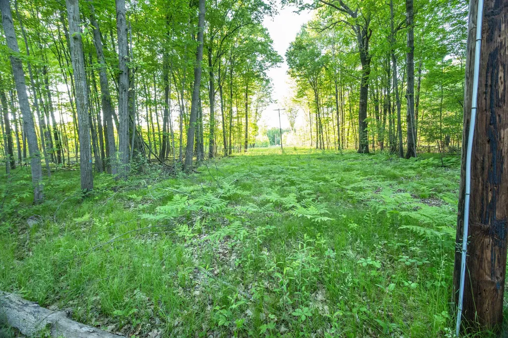 14351 95th Avenue Martiny Township MI 49342