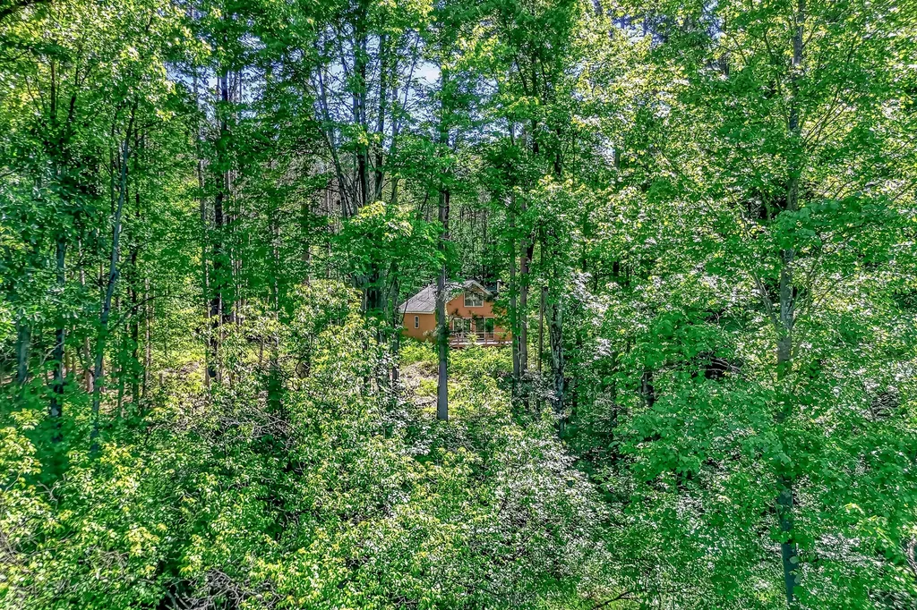 3821 W Baseline Road Lincoln Township MI 49349