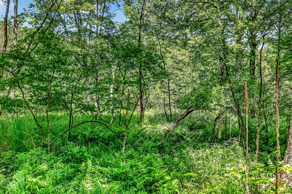 3821 W Baseline Road Lincoln Township MI 49349