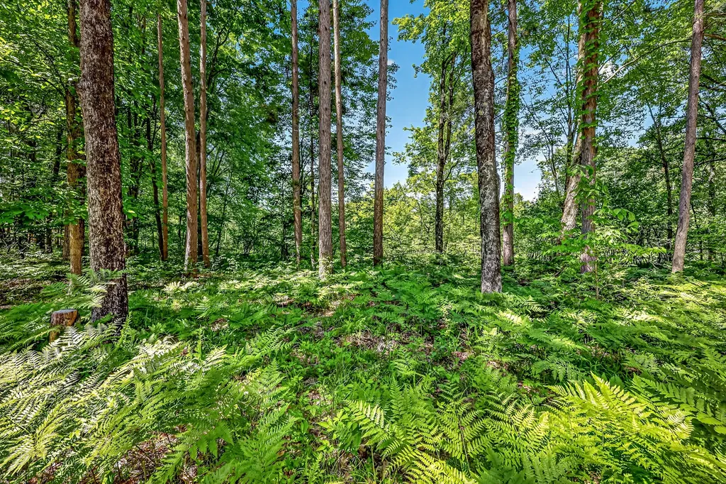 3821 W Baseline Road Lincoln Township MI 49349