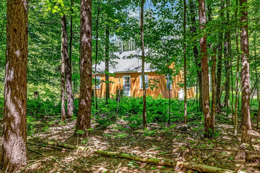3821 W Baseline Road Lincoln Township MI 49349