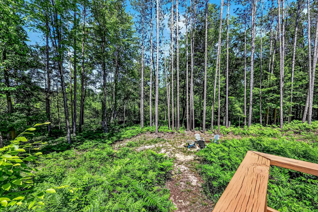 3821 W Baseline Road Lincoln Township MI 49349