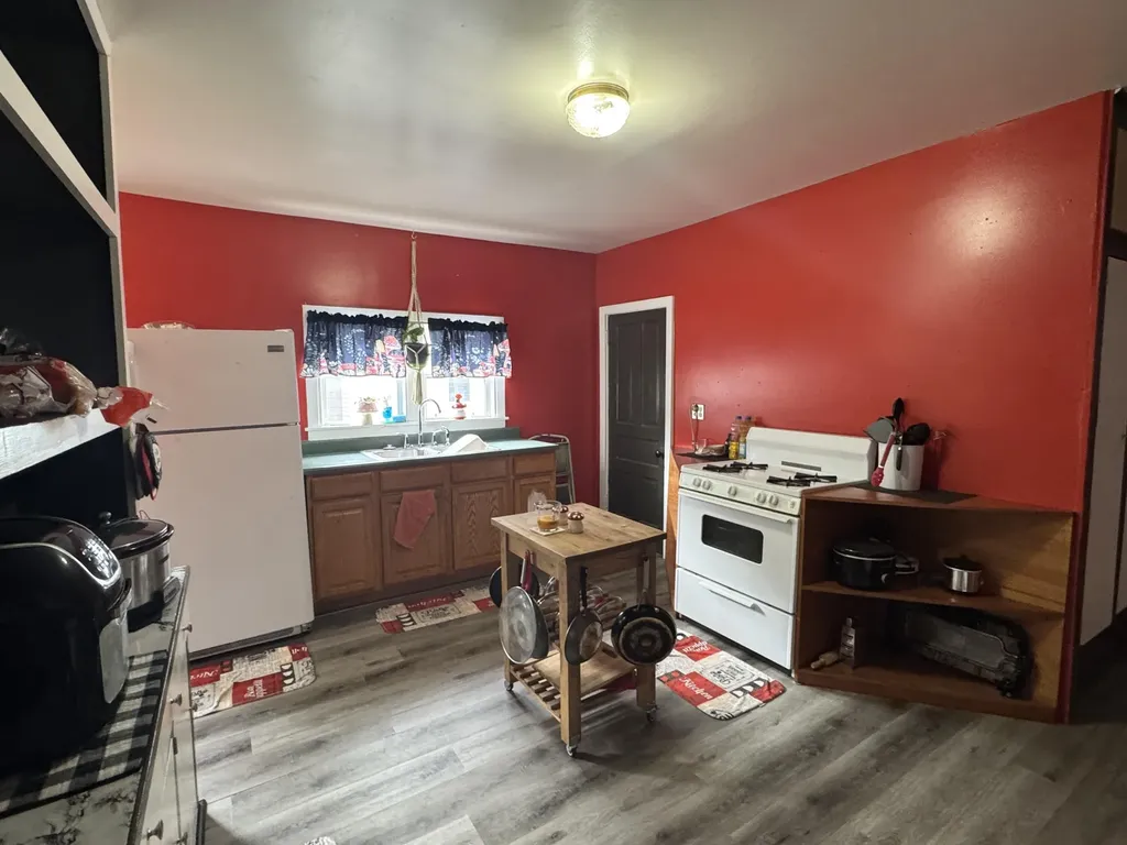 133 W Slosson Avenue Reed City City MI 49677