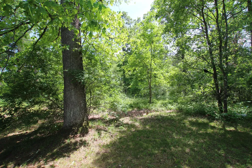 2259 E 40th Street Cherry Valley Township MI 49642