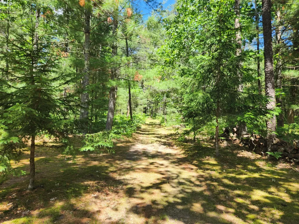 934 E 72nd Street Yates Township MI 49642