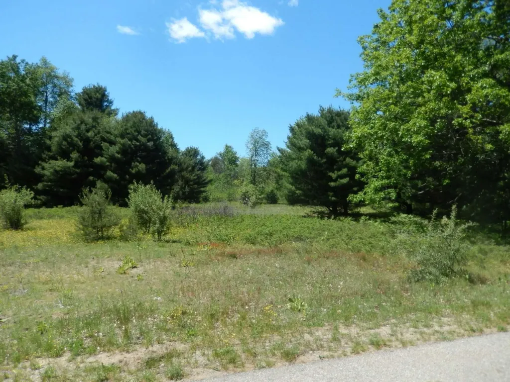6265 Kilkenny Drive Morton Township MI 49346