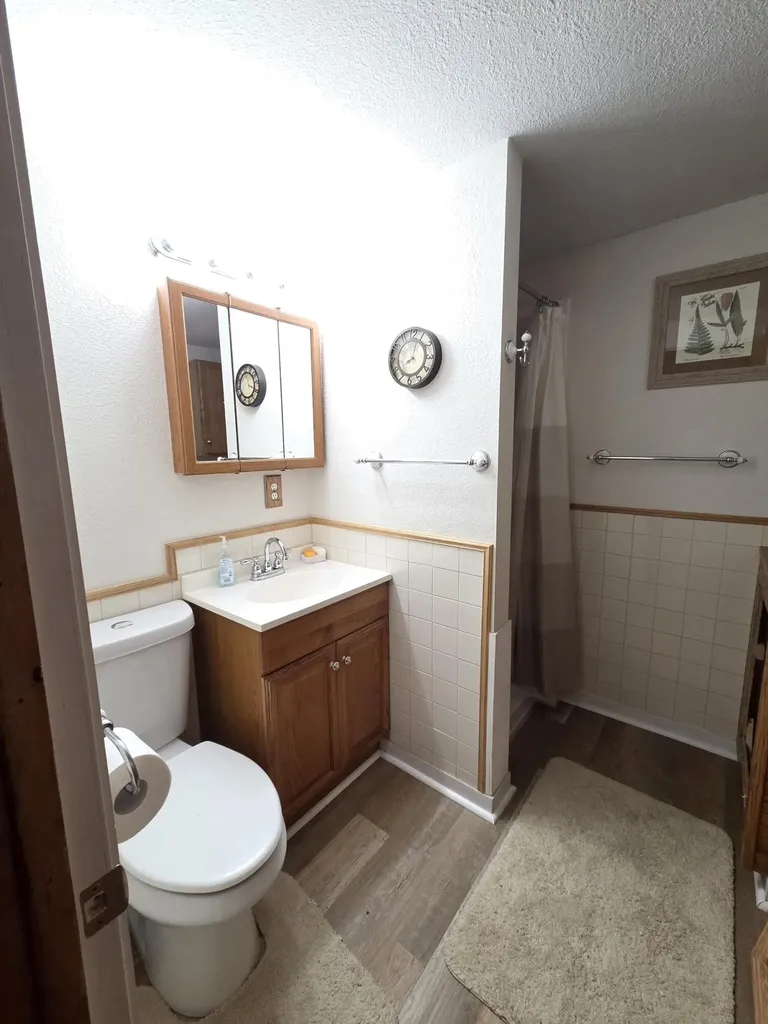 2093 N Tallman Lake Road Sheridan Township MI 49410