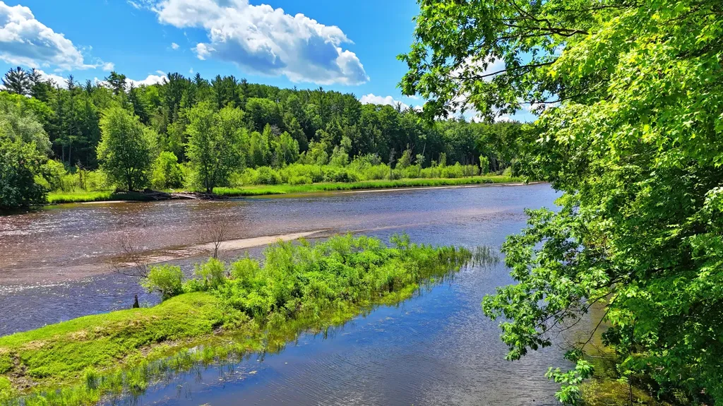 18885 14 Mile Road Big Rapids Charter Township MI 49307
