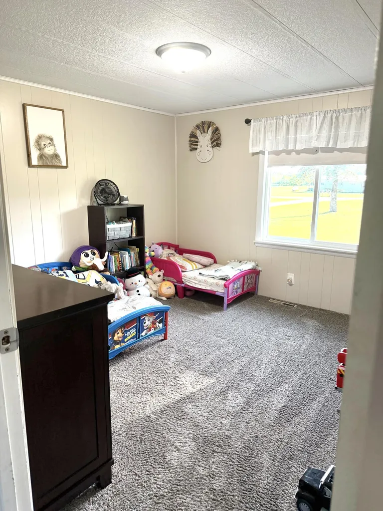 5236 110th Avenue Evart Township MI 49631
