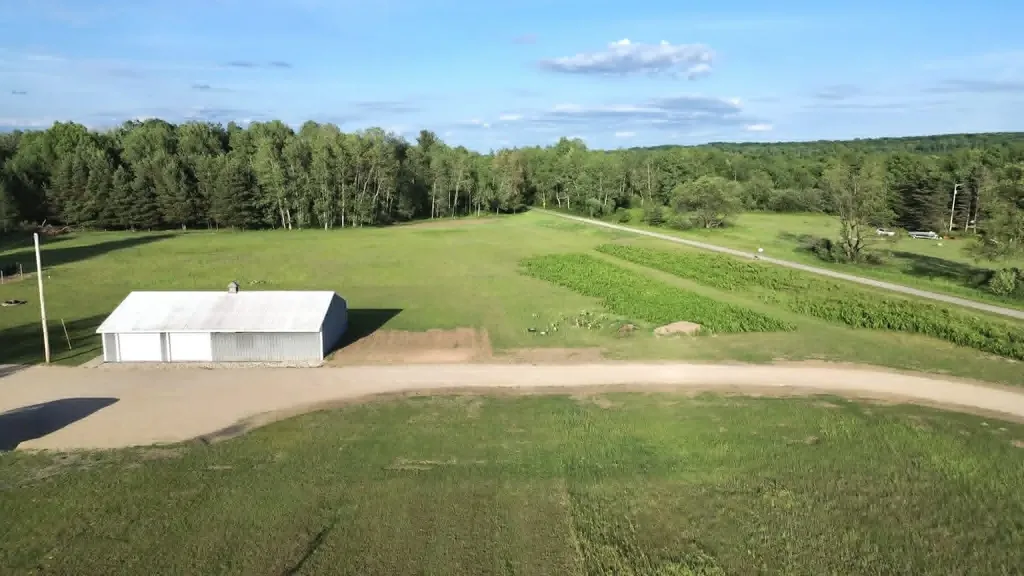 5236 110th Avenue Evart Township MI 49631