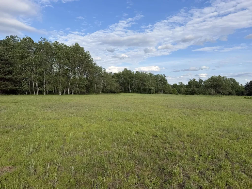 5236 110th Avenue Evart Township MI 49631
