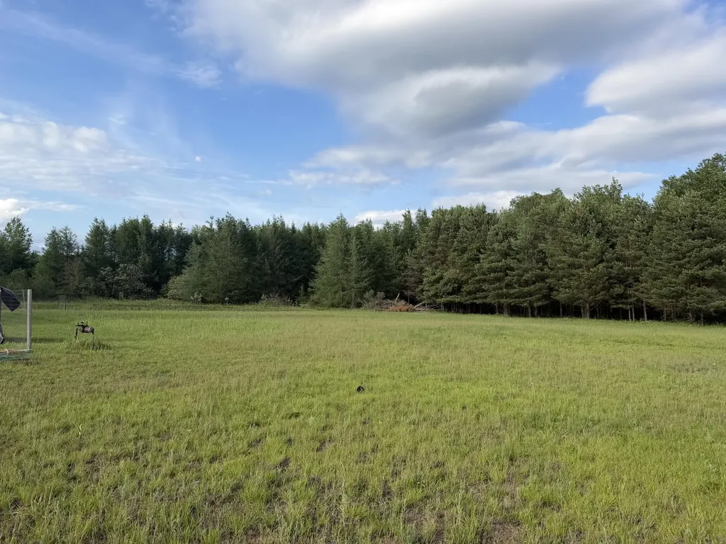5236 110th Avenue Evart Township MI 49631