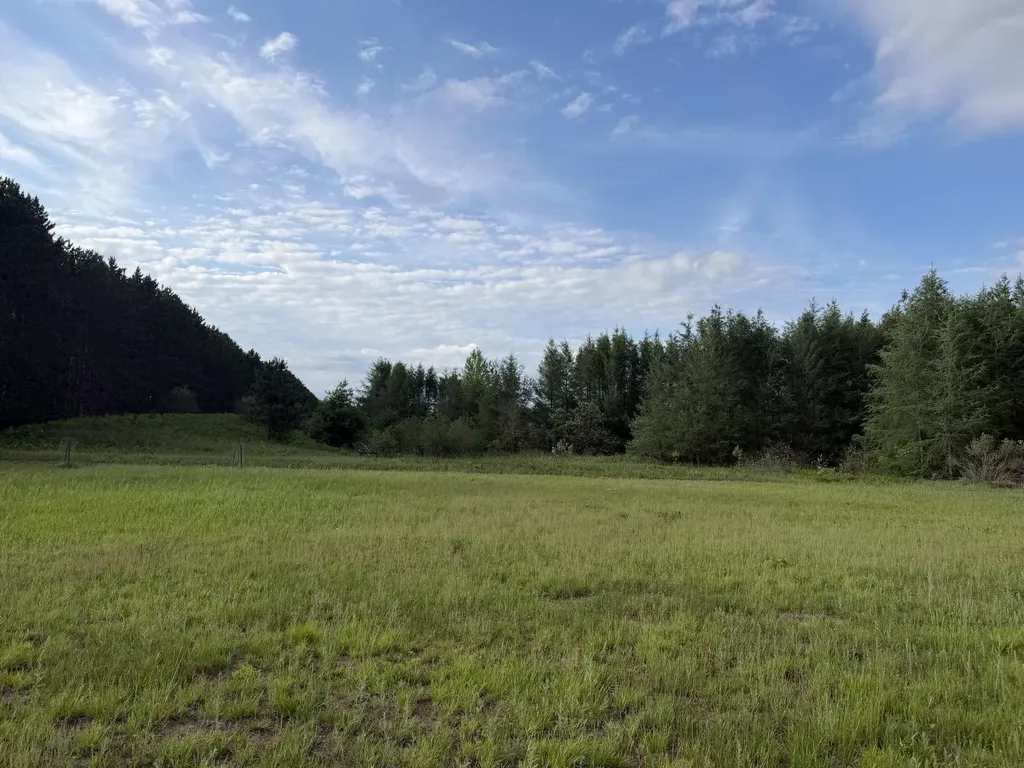 5236 110th Avenue Evart Township MI 49631