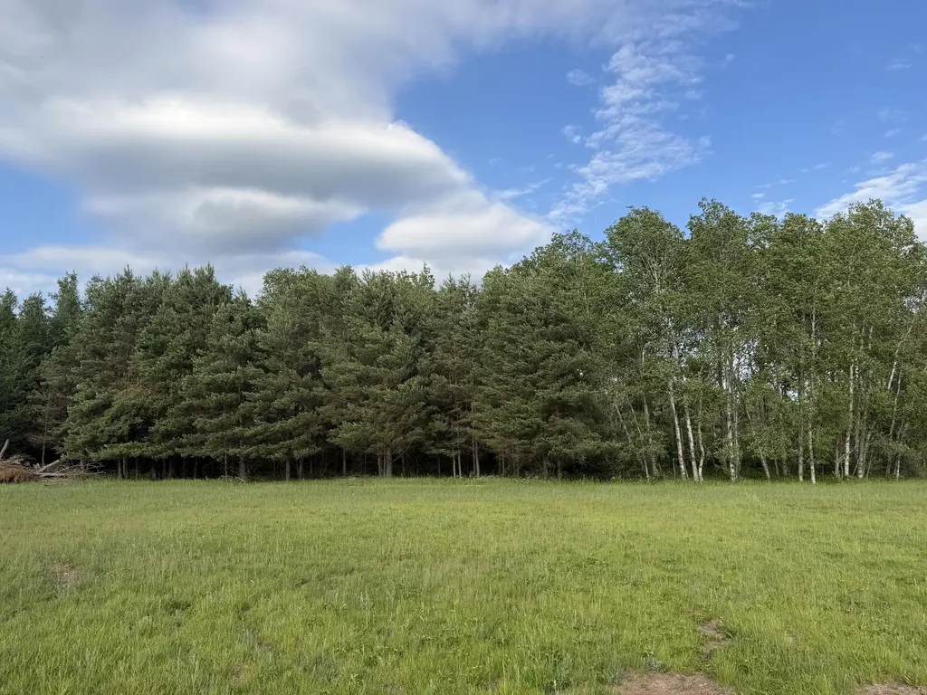 5236 110th Avenue Evart Township MI 49631