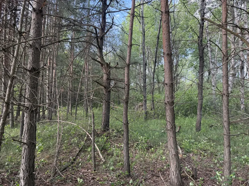 5236 110th Avenue Evart Township MI 49631