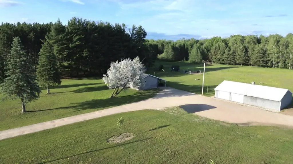 5236 110th Avenue Evart Township MI 49631