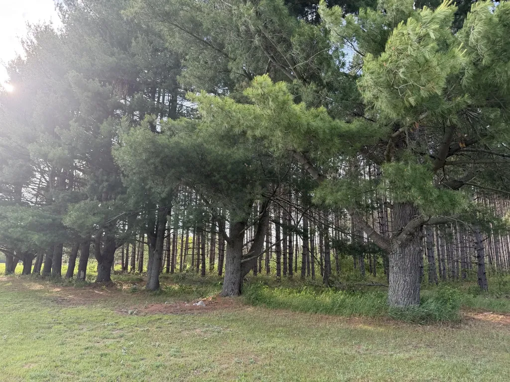 5236 110th Avenue Evart Township MI 49631