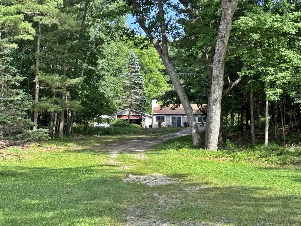 15808 Pretty Lake Drive Martiny Township MI 49332