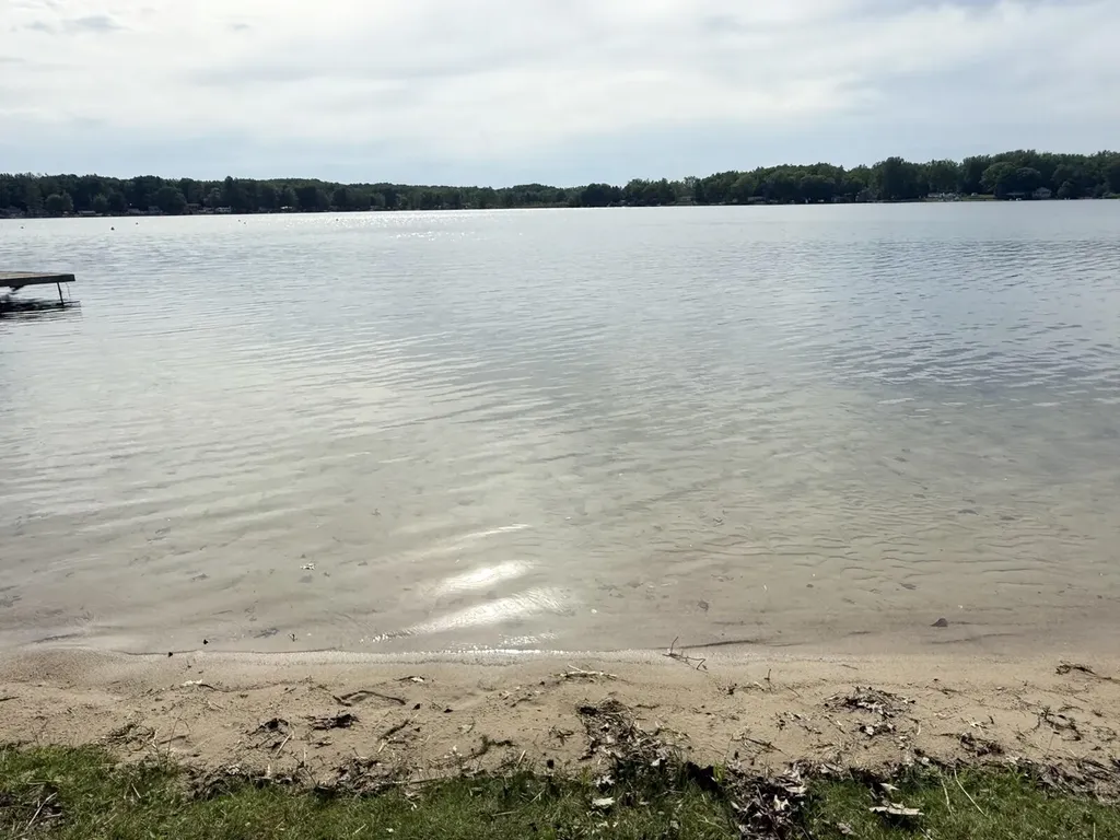 15808 Pretty Lake Drive Martiny Township MI 49332