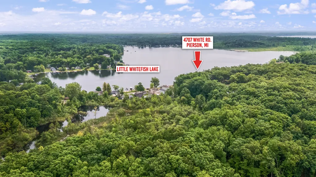 4707 N White Pierson Township MI 49339