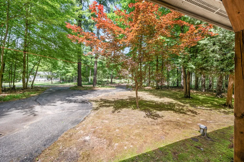 10513 Thornapple Drive Morton Township MI 49346