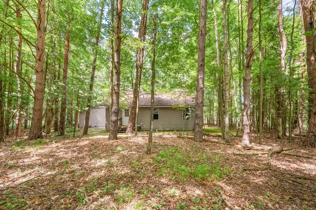 10513 Thornapple Drive Morton Township MI 49346