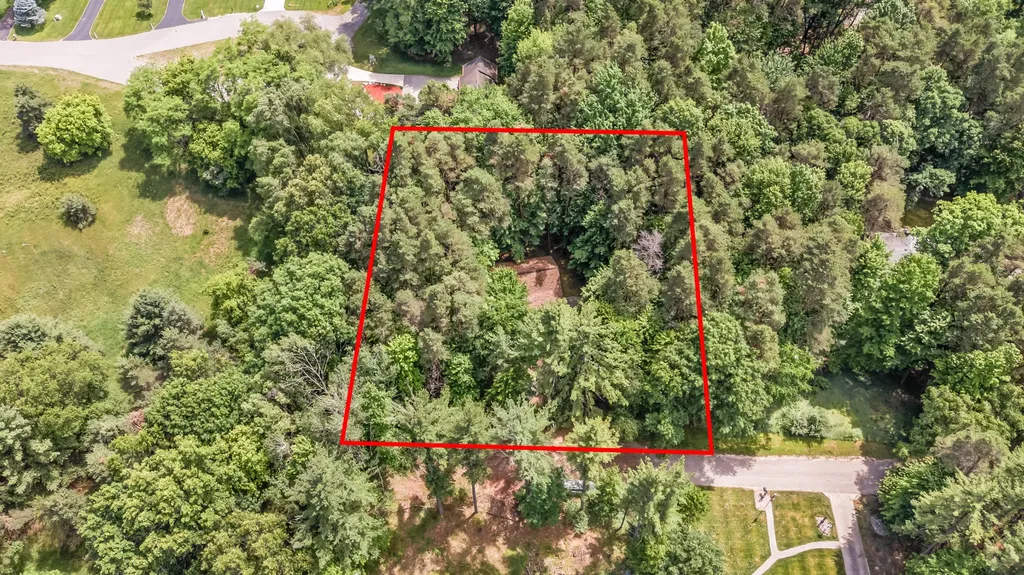 10513 Thornapple Drive Morton Township MI 49346