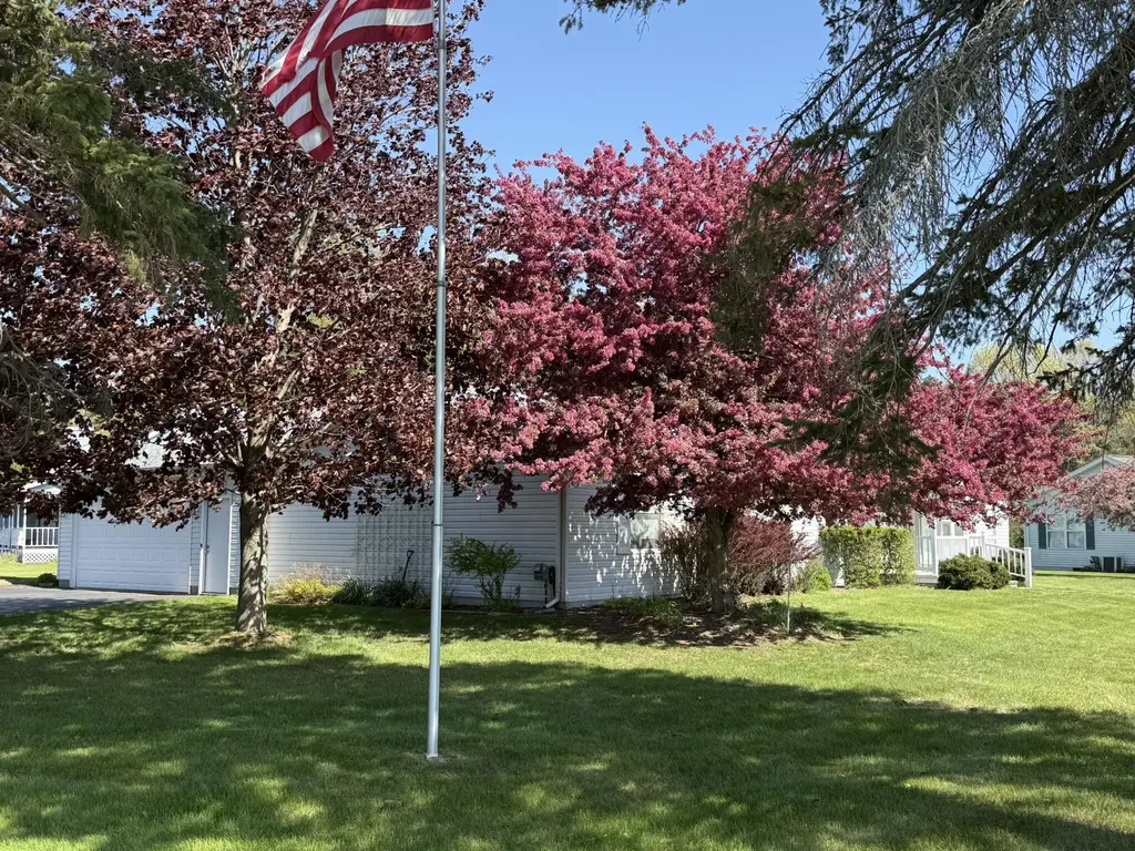 10215 E Royal Morton Township MI 49346