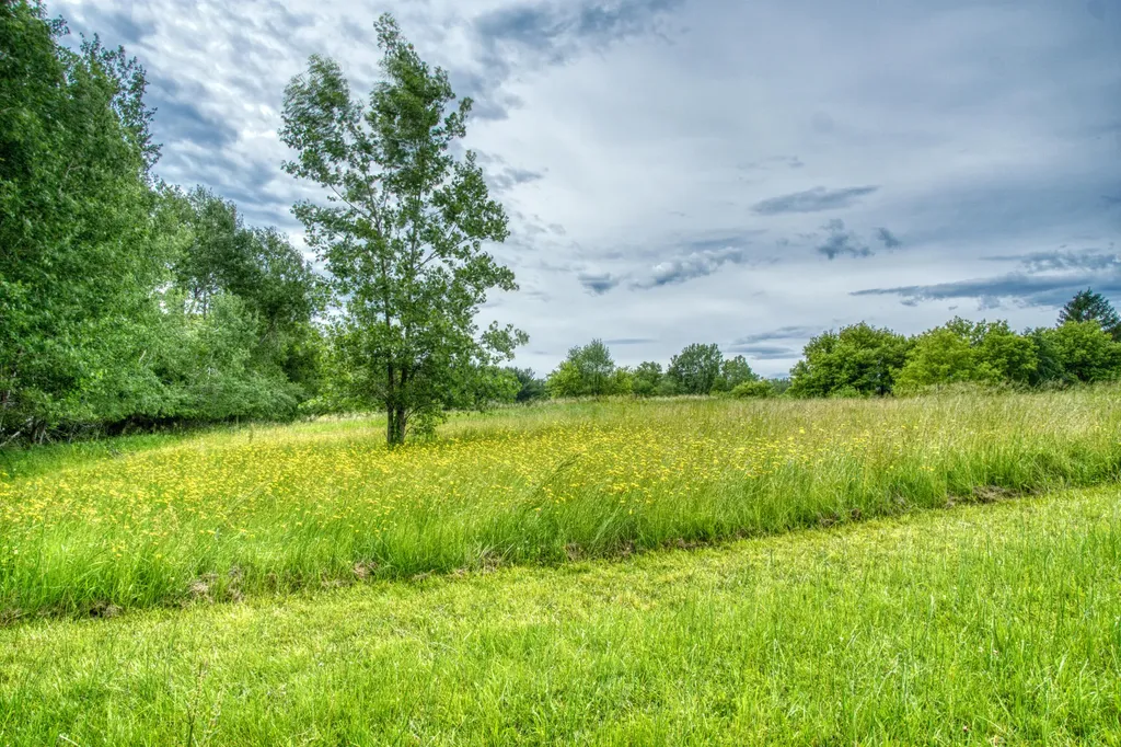3100 20 Mile Road Tyrone Township MI 49330