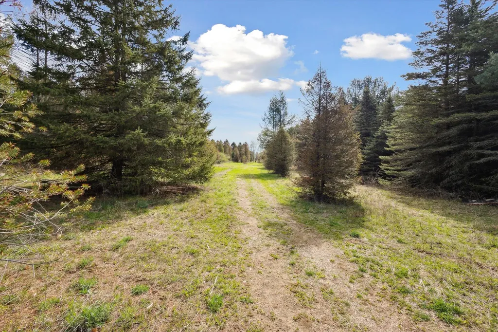 1366 Grow Road NW Douglass Township MI 48888
