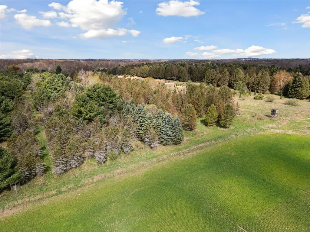 1366 Grow Road NW Douglass Township MI 48888