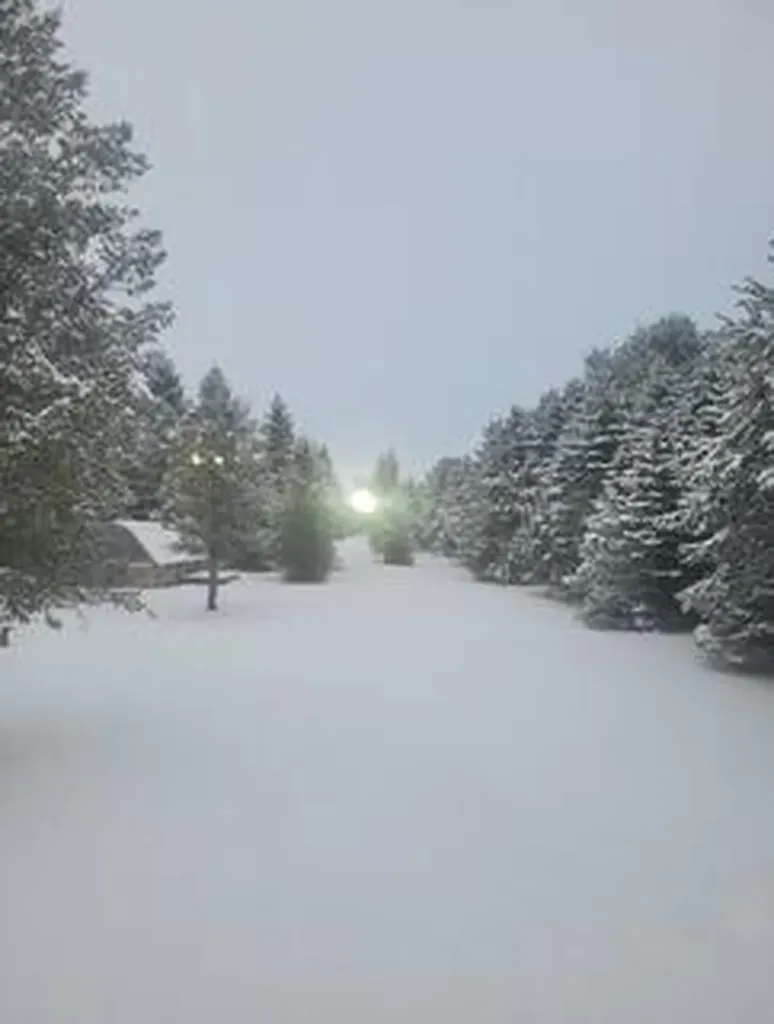 1366 Grow Road NW Douglass Township MI 48888