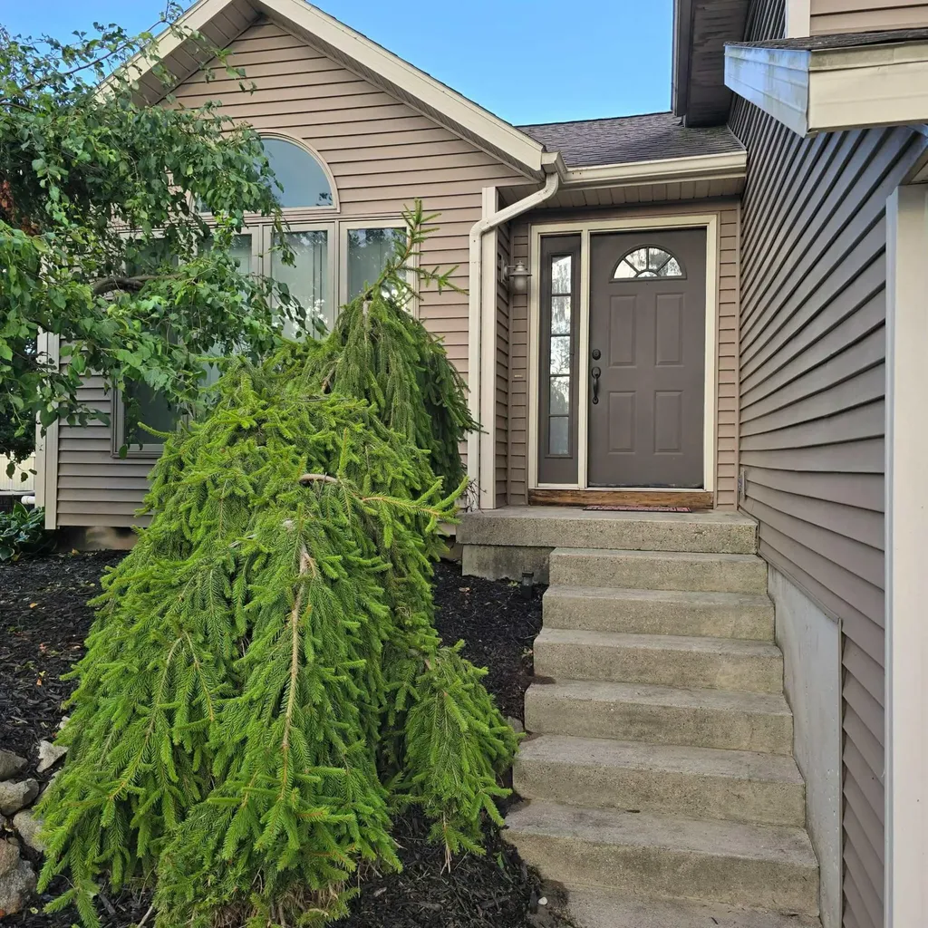 15530 Snauble Avenue NE Solon Township MI 49319