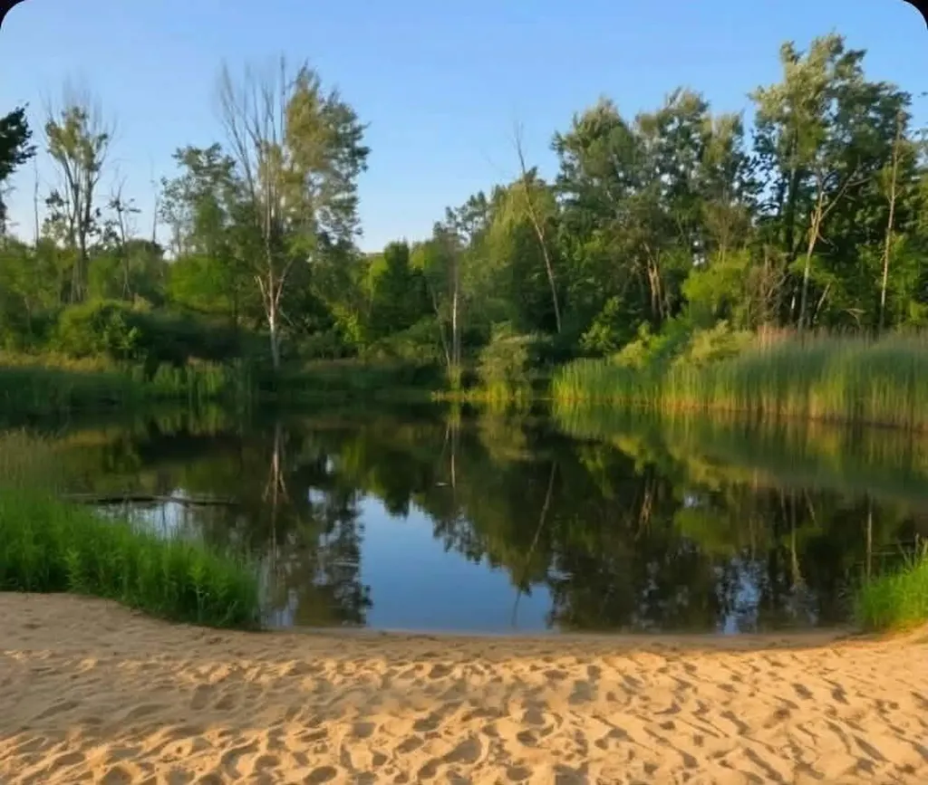 15530 Snauble Avenue NE Solon Township MI 49319