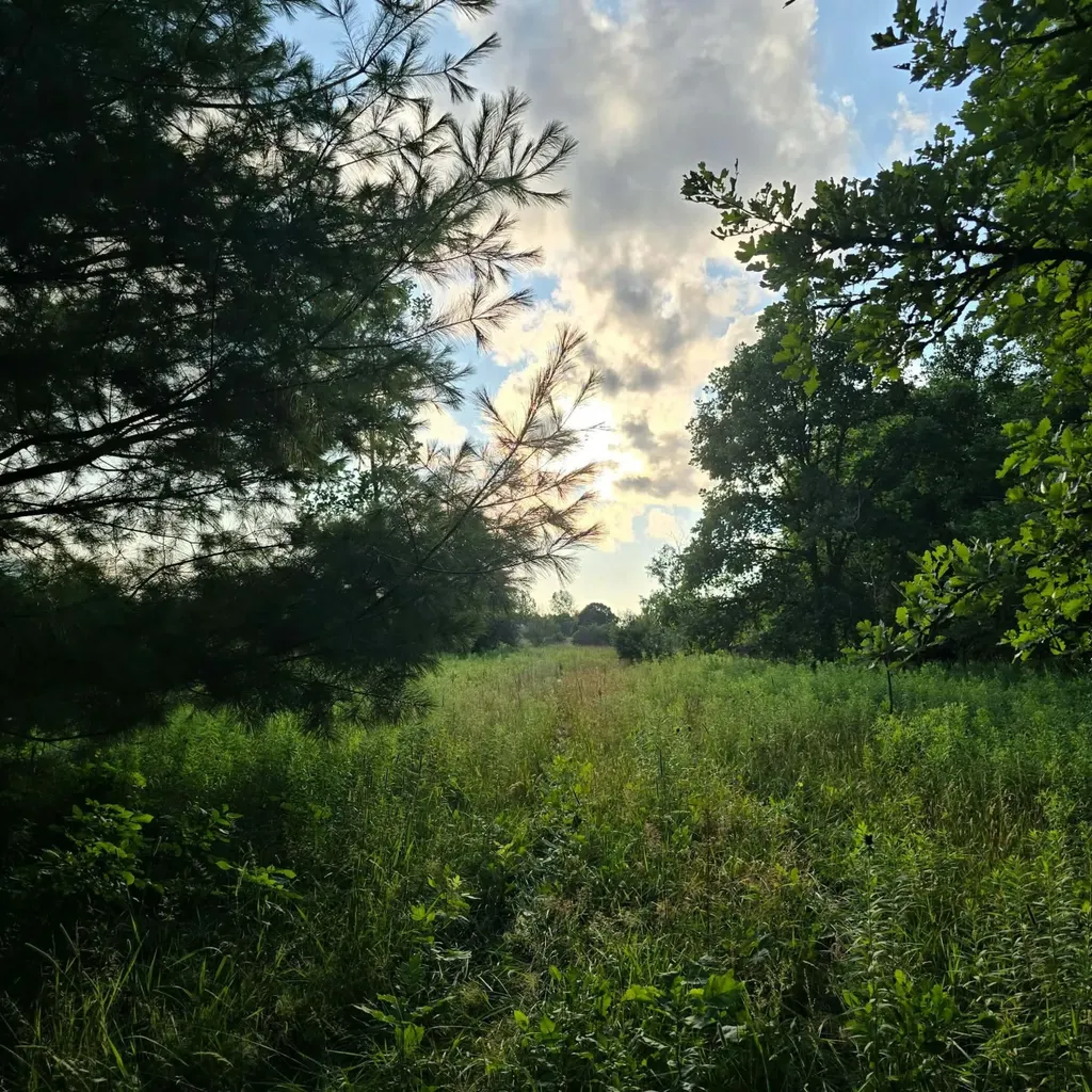 15530 Snauble Avenue NE Solon Township MI 49319
