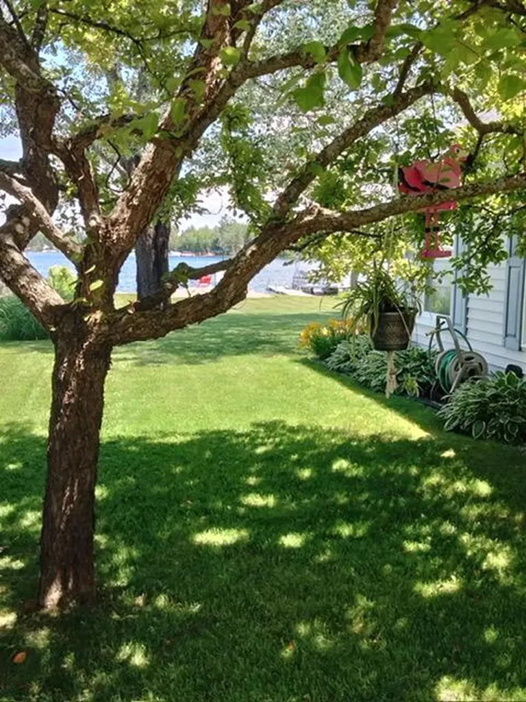 5420 Timberbend Road Orient Township MI 49679