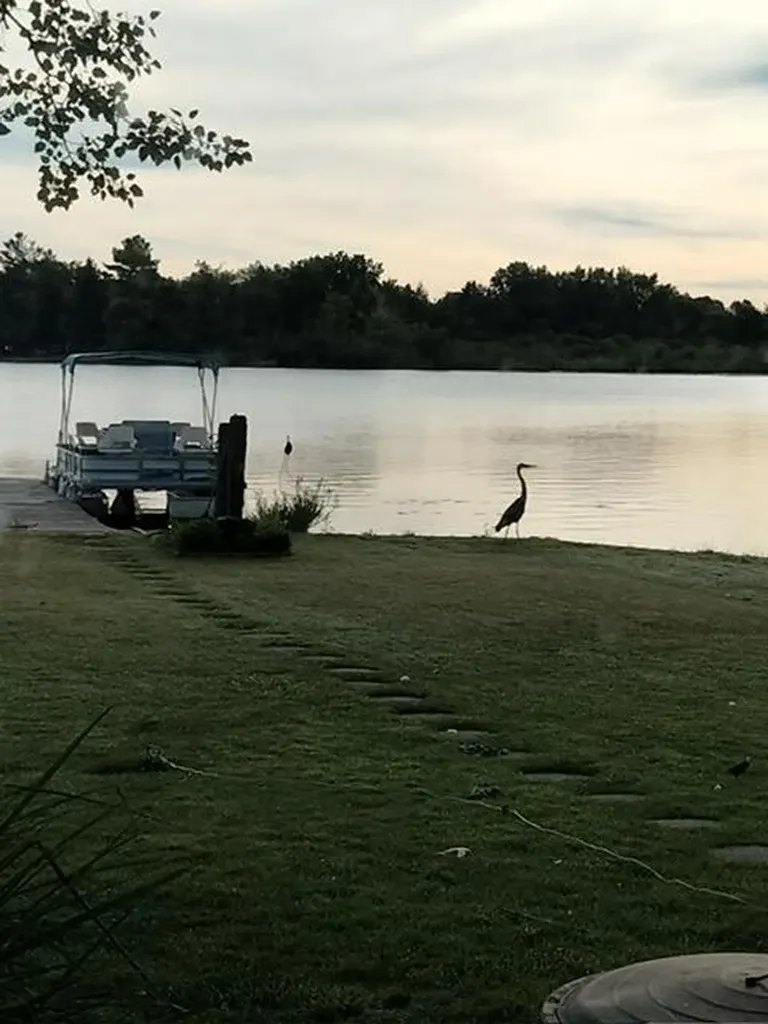 5420 Timberbend Road Orient Township MI 49679