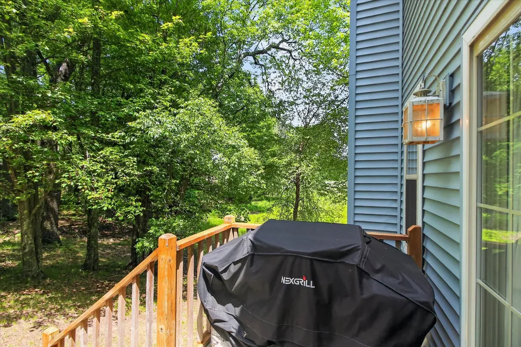 14564 S Star Lake Drive Lake Township MI 49304