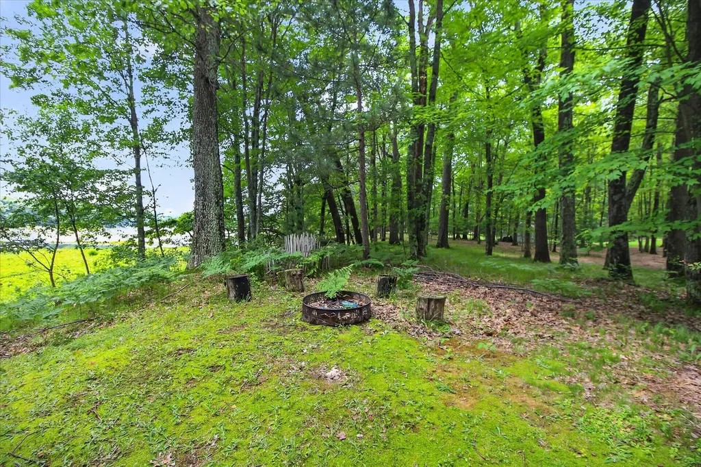 14564 S Star Lake Drive Lake Township MI 49304