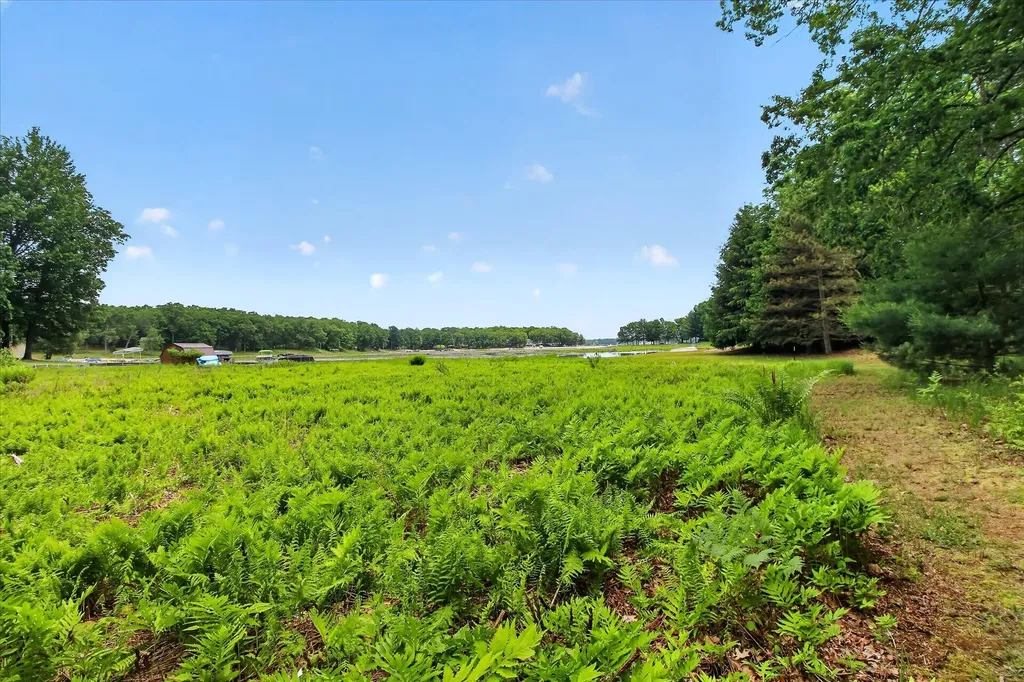 14564 S Star Lake Drive Lake Township MI 49304