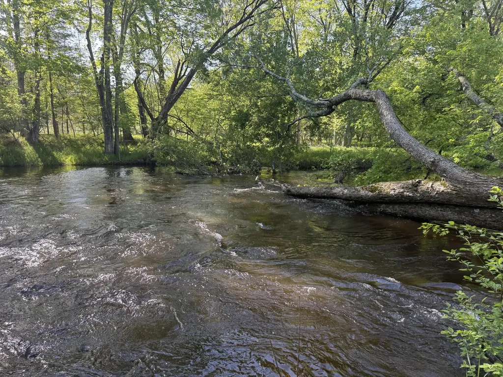6378 S Mac Road Lake Township MI 49304