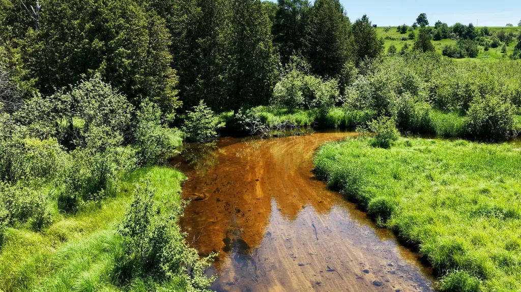 17274 Wilson Road Colfax Township MI 49307