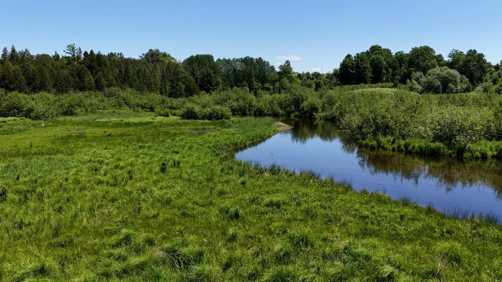 17274 Wilson Road Colfax Township MI 49307