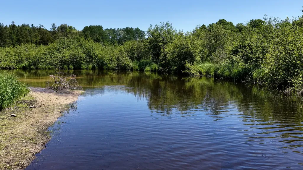 17274 Wilson Road Colfax Township MI 49307
