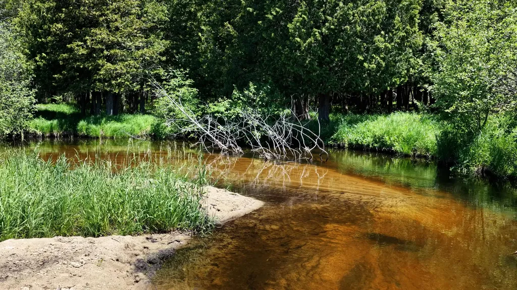 17274 Wilson Road Colfax Township MI 49307