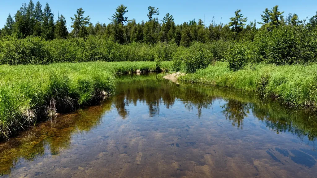 17274 Wilson Road Colfax Township MI 49307
