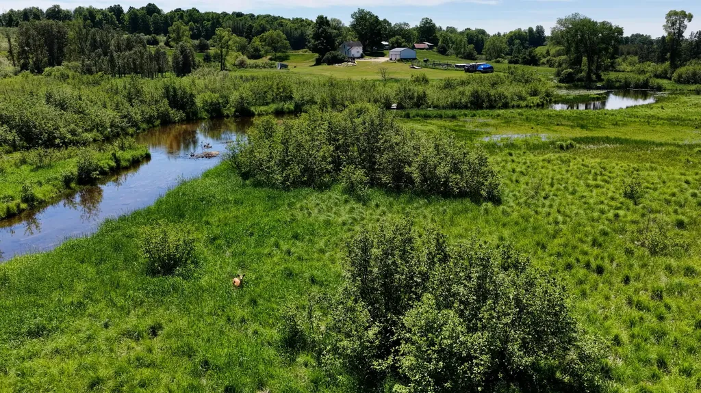 17274 Wilson Road Colfax Township MI 49307