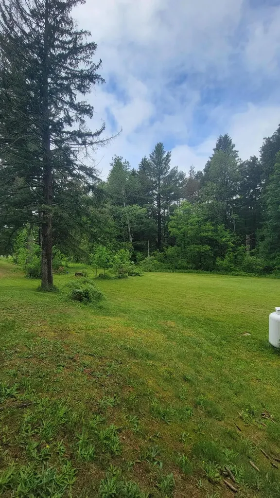 23580 22 Mile Road Green Charter Township MI 49338