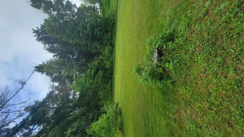 23580 22 Mile Road Green Charter Township MI 49338
